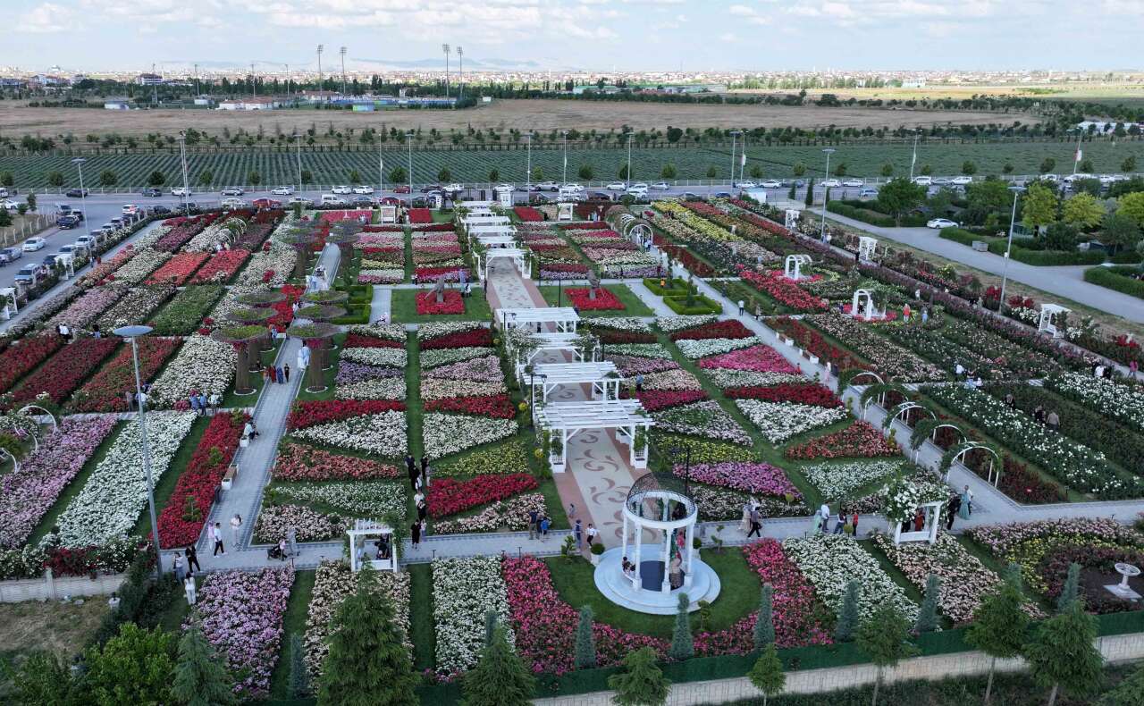 190 çeşit, 50 bin gül! Açıldığını duyan Konya’daki bu parka akın ediyor 7